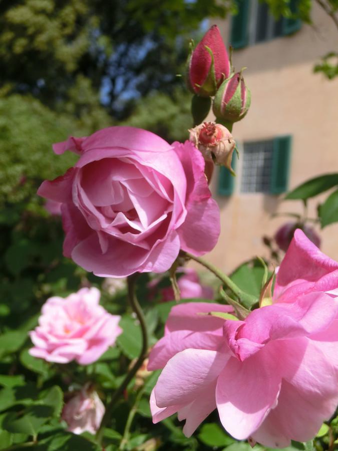 פיסטויה Villa Pacinotti מראה חיצוני תמונה